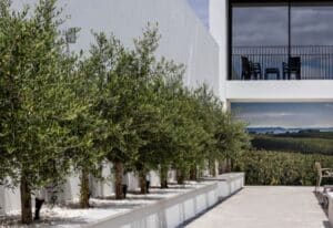 Area piscina exterior Evora O Cante Hotel