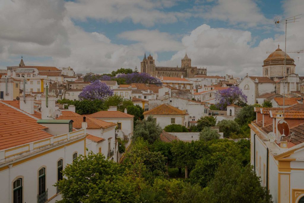 Evora-Olive-Hotel-1-darker
