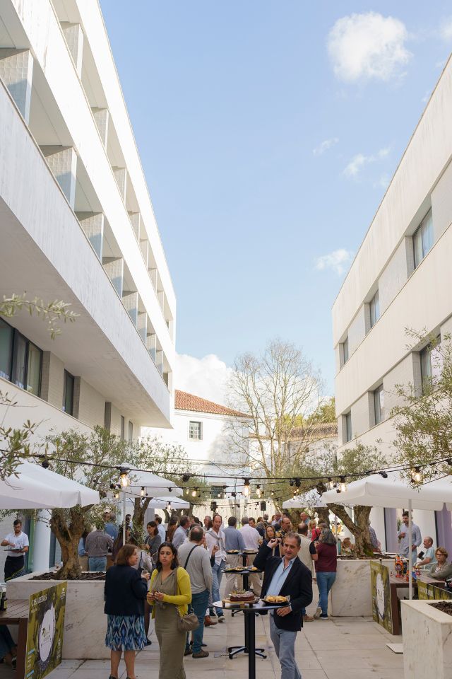 Evora Olive Hotel events olive oil outdoor patio