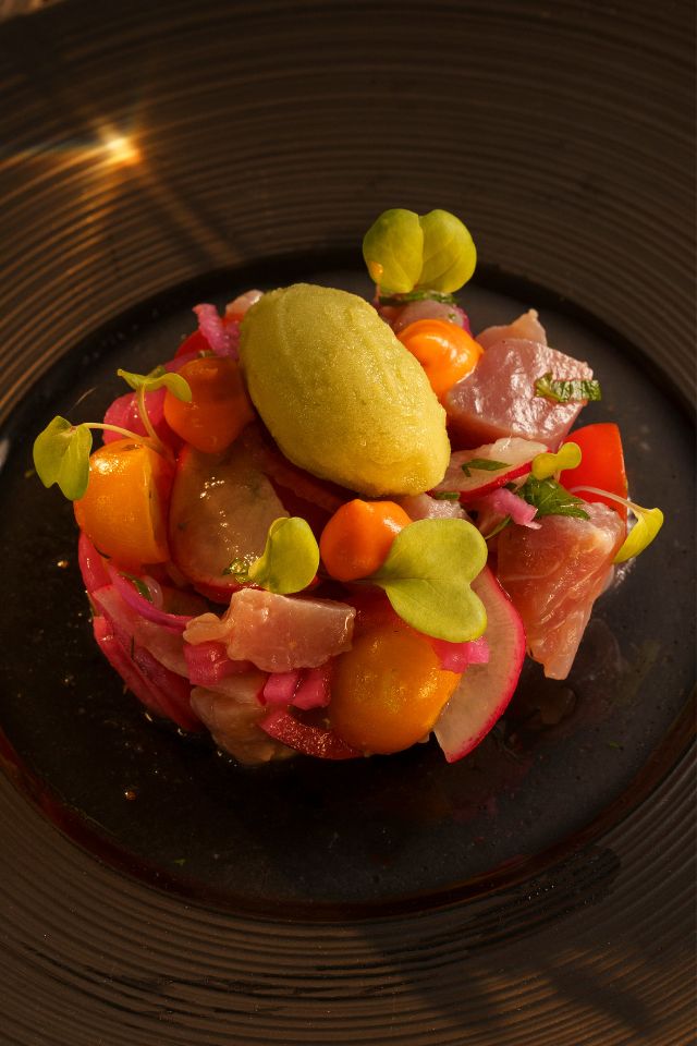Ceviche de Atum, Manga, Cebola Roxa, Rabanetes, Gelado de Coentros e Lima Restaurante Galeria do Largo