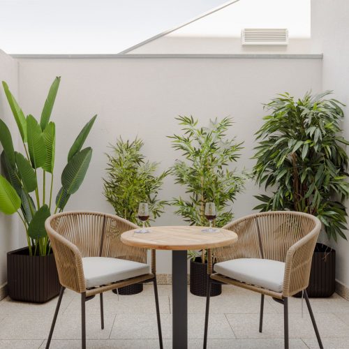 Double room with Interior View and Private Terrace