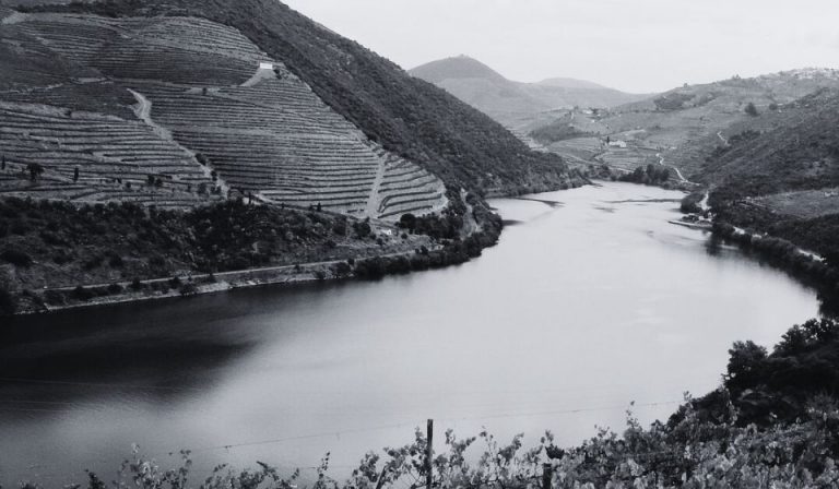 Vineyard of Douro River Douro Porto River Soul Hotel