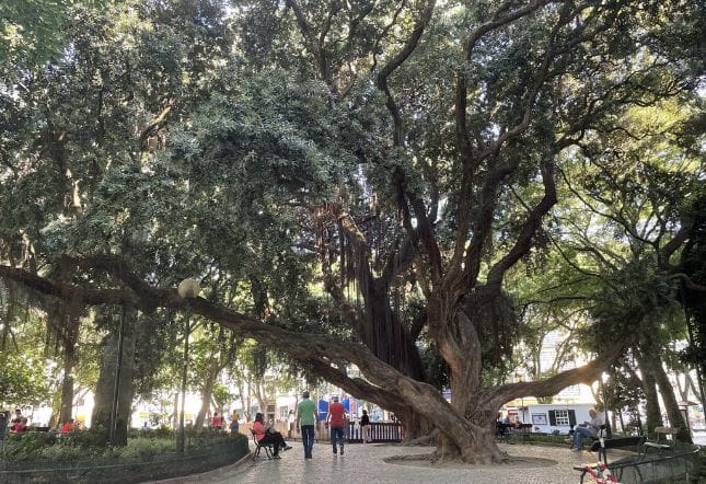 Jardim da Parada, Campo de Ourique