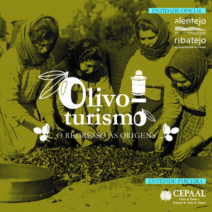 Conferência Olivoturismo: o regresso às origens